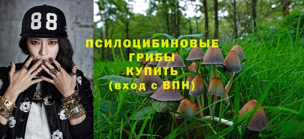 экстази Бронницы
